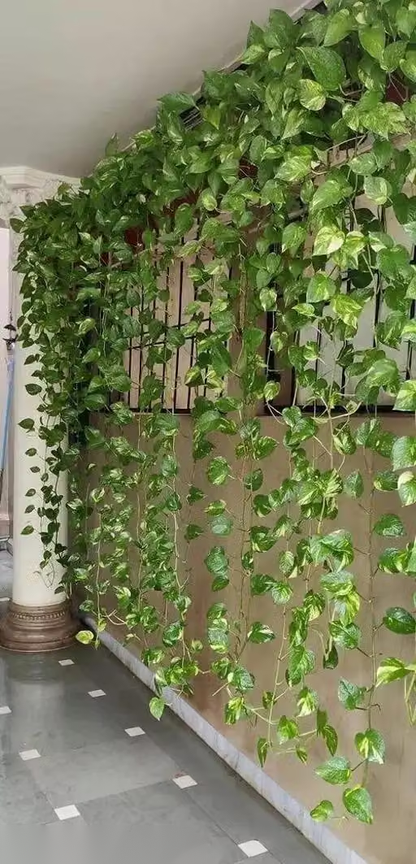 Plantswalls :- (8 Feet) (Set of 4 String) 30 Leave in one String Artificial Garlands Money Plant Hanging Leaves Greenery Vine Creeper Plants for Home Decor Main Door Wall, Balcony, Office, Decoration Party & Festival Craft